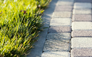 Paved walkway next to grass
